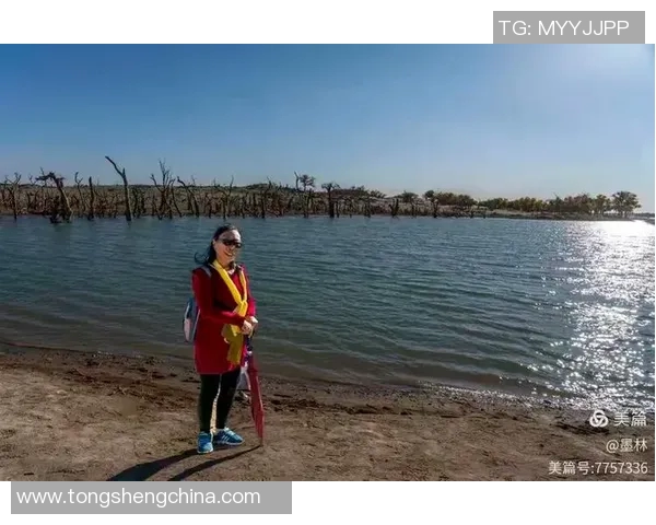 篮球明星三姐妹的传奇故事与奋斗历程展现了女性力量与团结的魅力